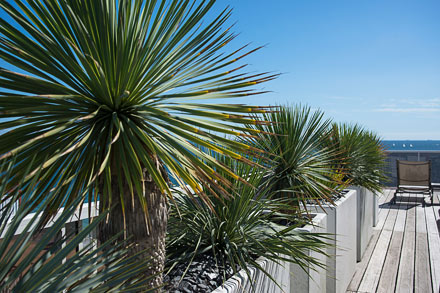 Terrasses de jardin - SARL PAIN Paysagiste à Batz-Sur-Mer, La Baule, Pornichet, Le Croisic, Guérande