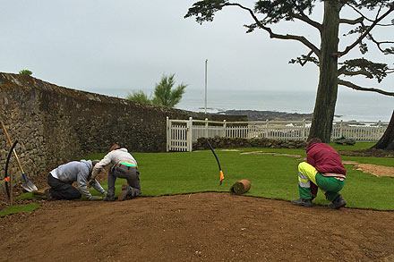 Arrosage dans le jardin - SARL PAIN Paysagiste à Batz-Sur-Mer, Le Croisic, La Baule, Pornichet, Guérande