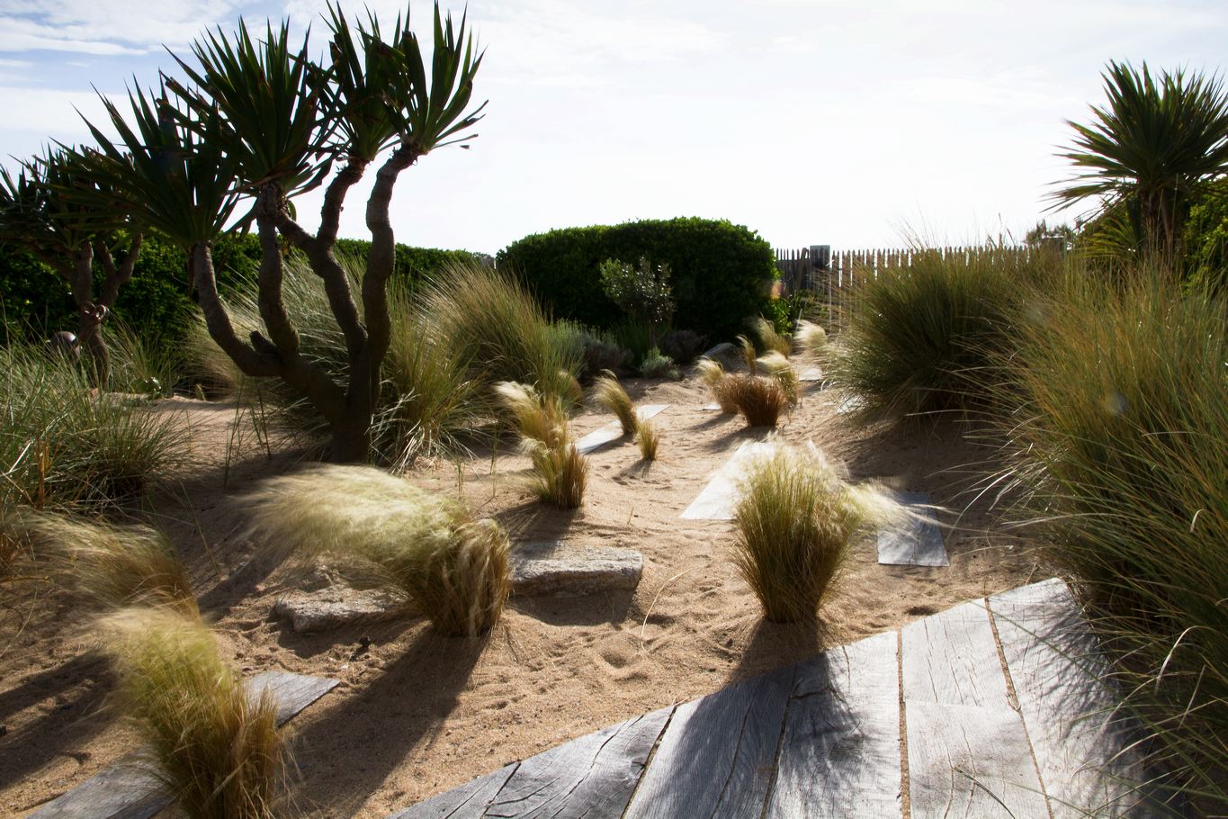 Jardins de bord de mer - SARL PAIN Paysagiste à La Baule, Guérande, Le Croisic, Batz-Sur-Mer, Pornichet