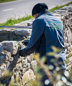 Murs et clôtures - Elements maçonnés dans le jardin - SARL PAIN Paysagiste à Batz-Sur-Mer, La Baule, Pornichet, Guérande, Le Croisic