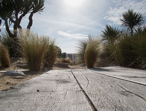 SARL PAIN, entreprise du paysage à Batz-Sur-Mer, Guérande, La Baule, Pornichet, Le Croisic