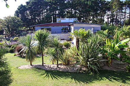 Gros sujets pour le jardin - SARL PAIN Paysagiste à Batz-Sur-Mer, La Baule, Pornichet, Guérande, Le Croisic