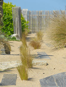 Jardins bretons - Jardins de bord de mer - SARL PAIN Paysagiste à Batz-Sur-Mer, La Baule, Pornichet, Guérande, Le Croisic