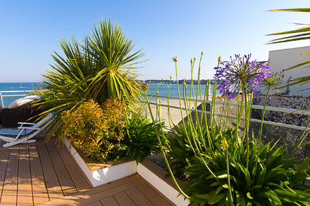 Jardins bretons - Jardins de bord de mer - SARL PAIN Paysagiste à Batz-Sur-Mer, La Baule, Pornichet, Guérande, Le Croisic