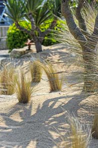 Jardins bretons - Jardins de bord de mer - SARL PAIN Paysagiste à Batz-Sur-Mer, La Baule, Pornichet, Guérande, Le Croisic