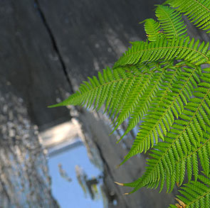 Jardins Exotiques - SARL PAIN Paysagiste à Batz-Sur-Mer, La Baule, Pornichet, Guérande, Le Croisic