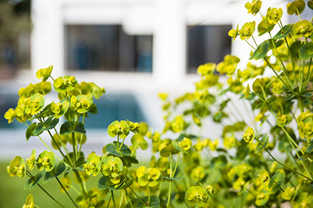 Jardins Exotiques - SARL PAIN Paysagiste à Batz-Sur-Mer, La Baule, Pornichet, Guérande, Le Croisic