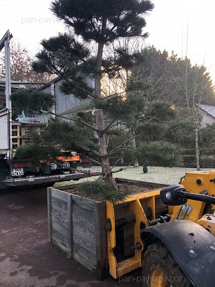 Réfection d'un jardin sur Saint André des Eaux