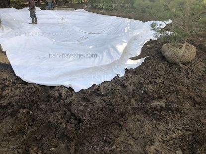 Réfection d'un jardin sur Saint André des Eaux